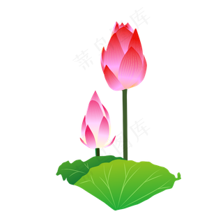 手绘盛开的荷花矢量免抠图