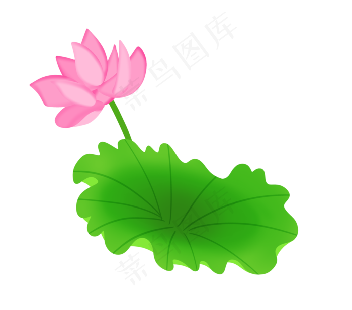 荷花花枝和荷叶插画