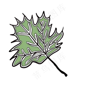 一片绿色的树叶创意插图免抠