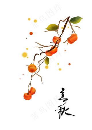 立秋节气秋天熟透了的柿子,免抠元素