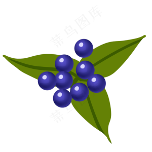 新鲜蓝莓水果