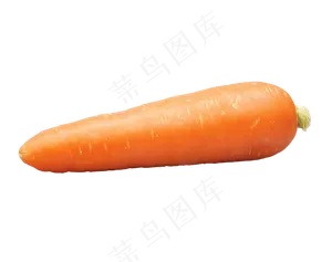 蔬菜黄萝卜