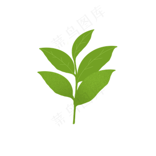 卡通树叶矢量图下载,免抠元素