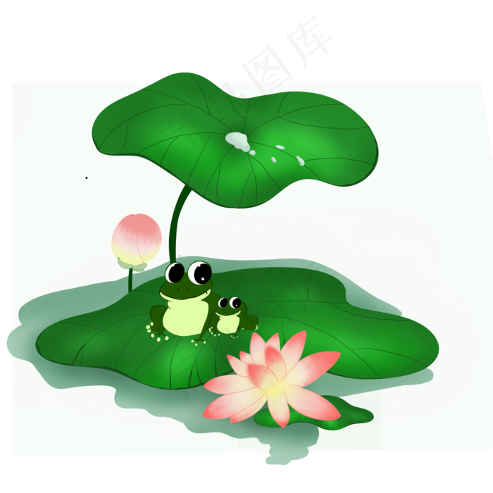 大暑荷花池塘青蛙