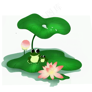 大暑荷花池塘青蛙