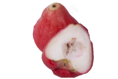 好吃美味甘甜的莲雾