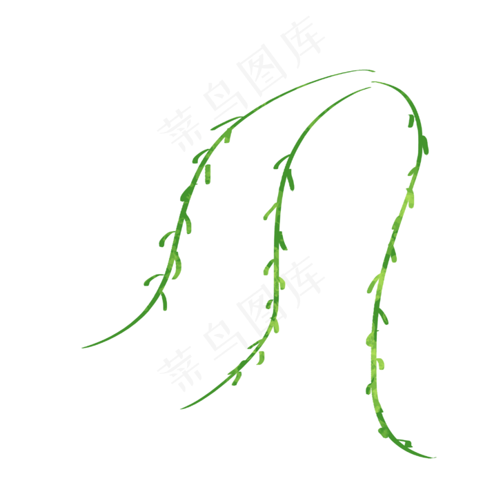 手绘插画风格柳树树枝