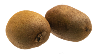 两个猕猴桃水果