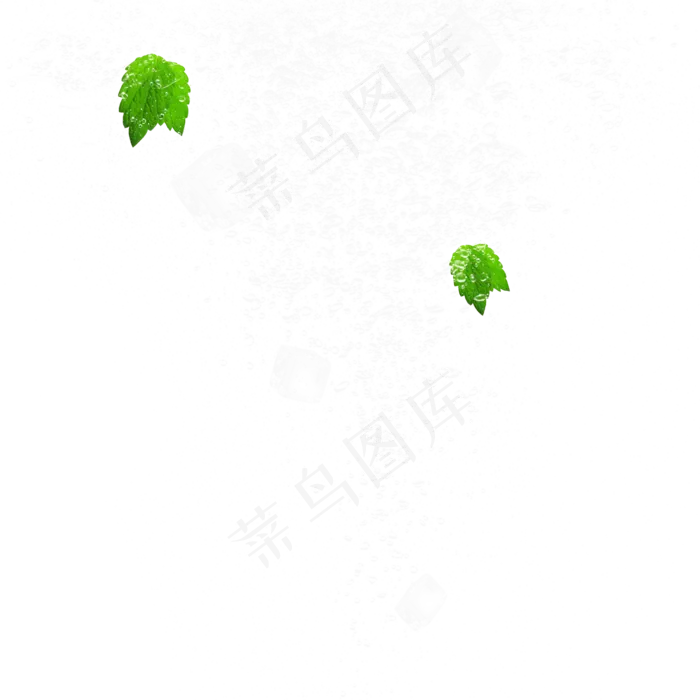 薄荷叶冰块冰晶元素,免抠元素(2000*2000px 300 dpi )psd模版下载