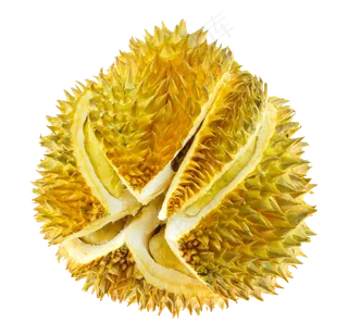 水果香甜榴莲