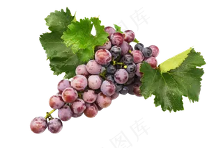 新鲜水果葡萄