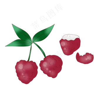 夏季红色果皮荔枝