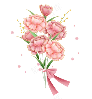 一束淡粉色康乃馨,免抠元素
