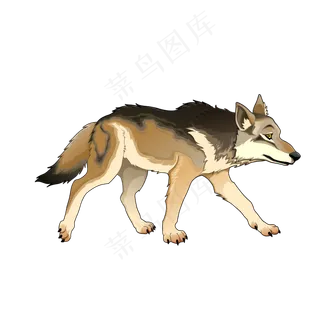 手绘的狼矢量素材