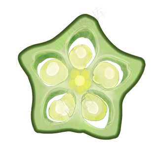 一片绿色小清新水彩手绘秋葵