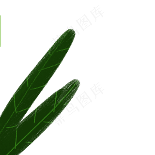 卡通植物绿叶下载