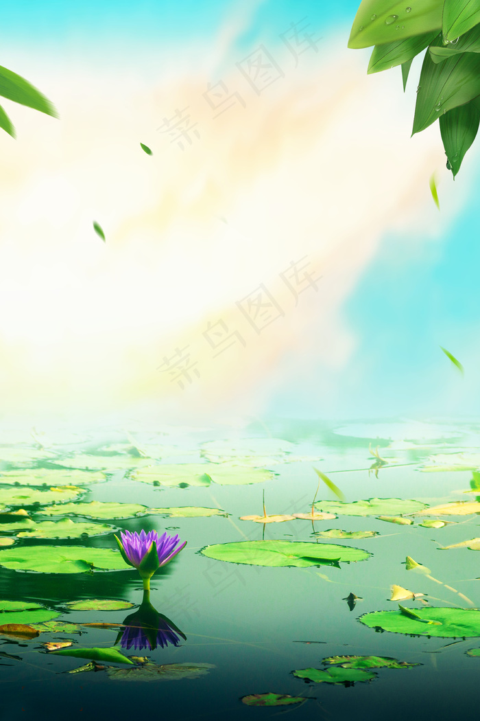 大暑二十四节气高清背景