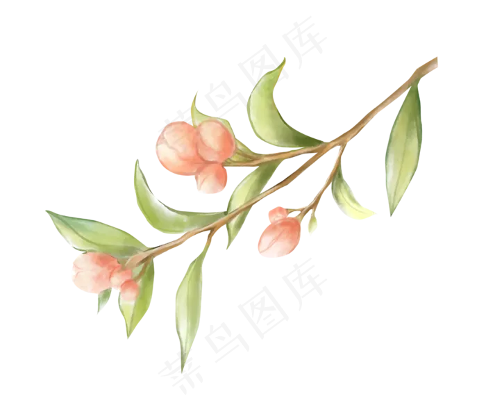 水彩植物粉色花卉(2738X2319(DPI:300))psd模版下载