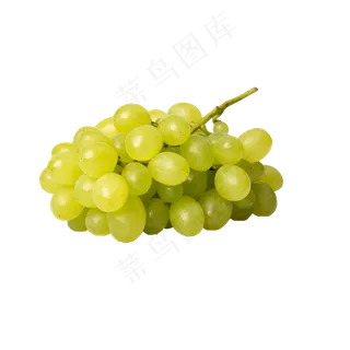 美味葡萄