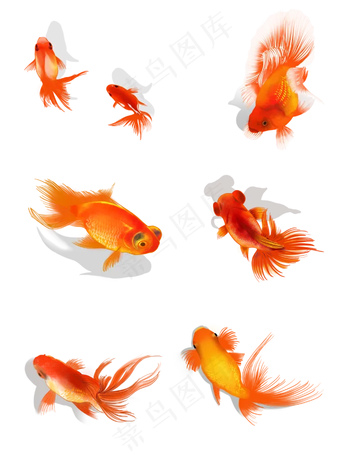 幸运红色锦鲤金鱼水彩手绘(2000X2000(DPI:300))psd模版下载