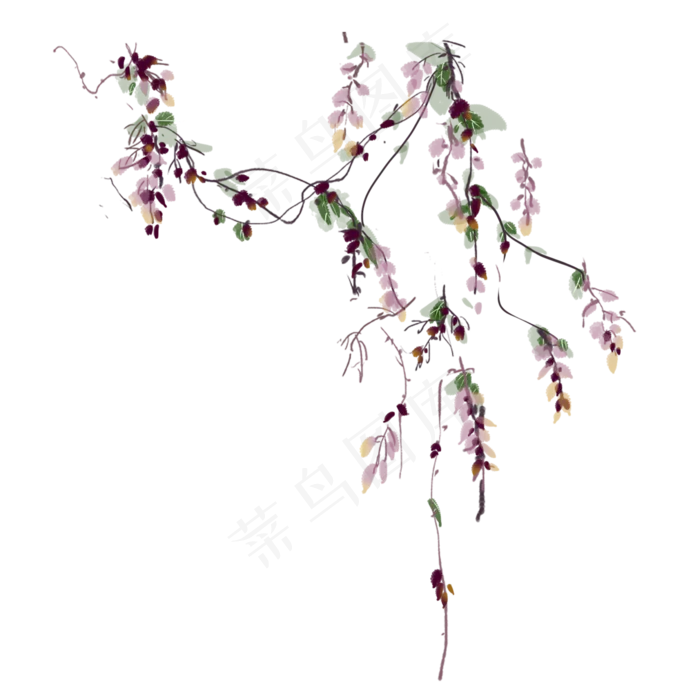 紫藤花手绘水彩素材(2000X2000(DPI:300))psd模版下载