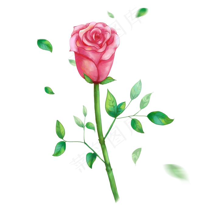 玫瑰花一支快盛开的红色玫瑰花玫(2000X2000(DPI:300))psd模版下载