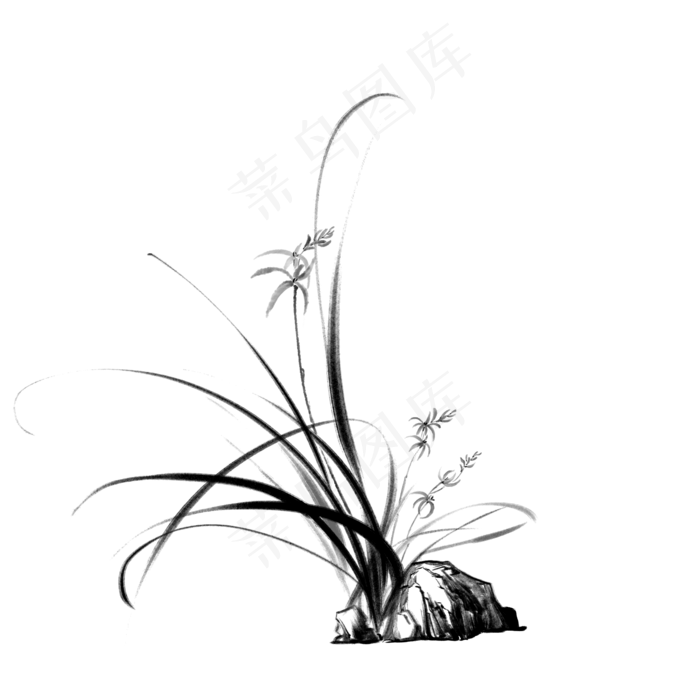 中国风兰花水墨画,免抠元素
