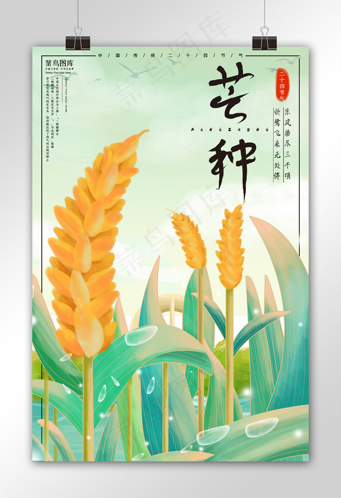 二十四节气芒种海报