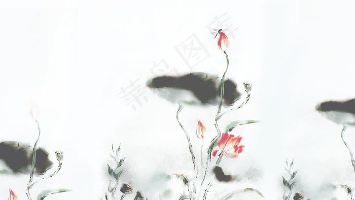 中国风古风水墨荷花蜻蜓夏天立夏风景