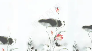 中国风古风水墨荷花蜻蜓夏天立夏风景