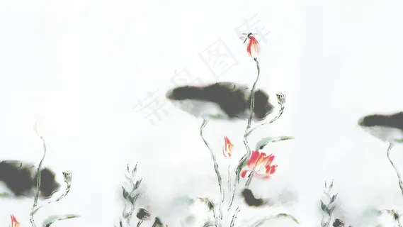 中国风古风水墨荷花蜻蜓夏天立夏风景 中国风古风水墨荷花蜻蜓夏天立夏风景