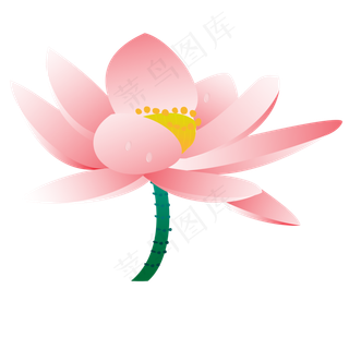 漂亮的手绘荷花免抠图