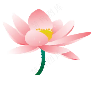 漂亮的手绘荷花免抠图