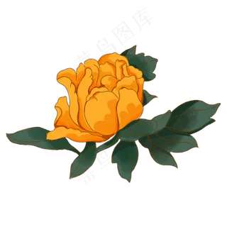 中秋节黄色牡丹花,免抠元素