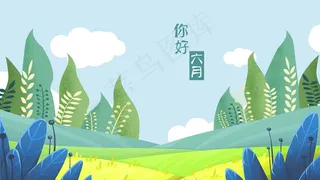 六月夏季清新户外草地上的植物和树