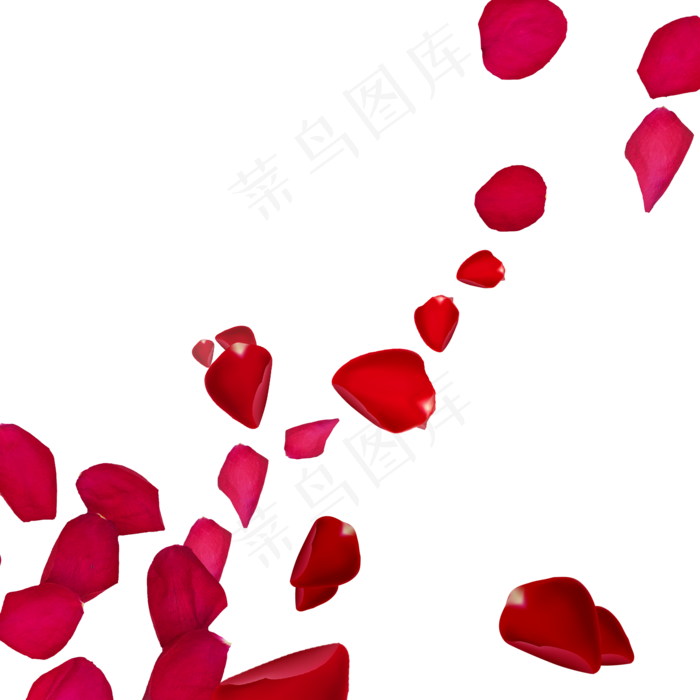 落花飘落漂浮花瓣