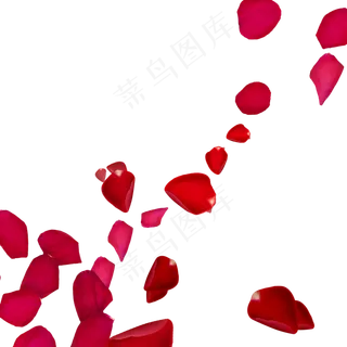 落花飘落漂浮花瓣