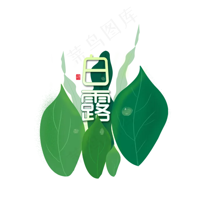 白露绿叶子露珠绿色手绘节气素材