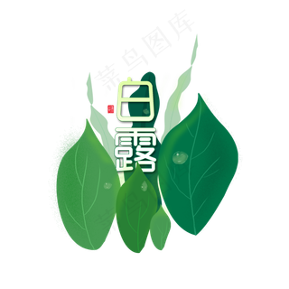 白露绿叶子露珠绿色手绘节气素材