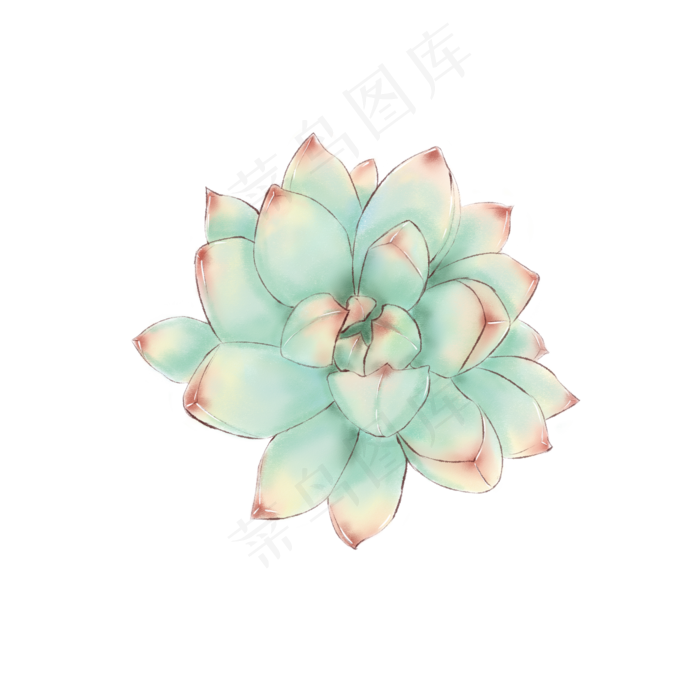 可爱手绘多肉可商用元素,免抠元素