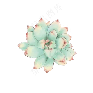 可爱手绘多肉可商用元素,免抠元素