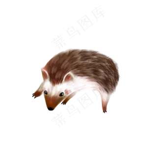 手绘刺猬动物,免抠元素