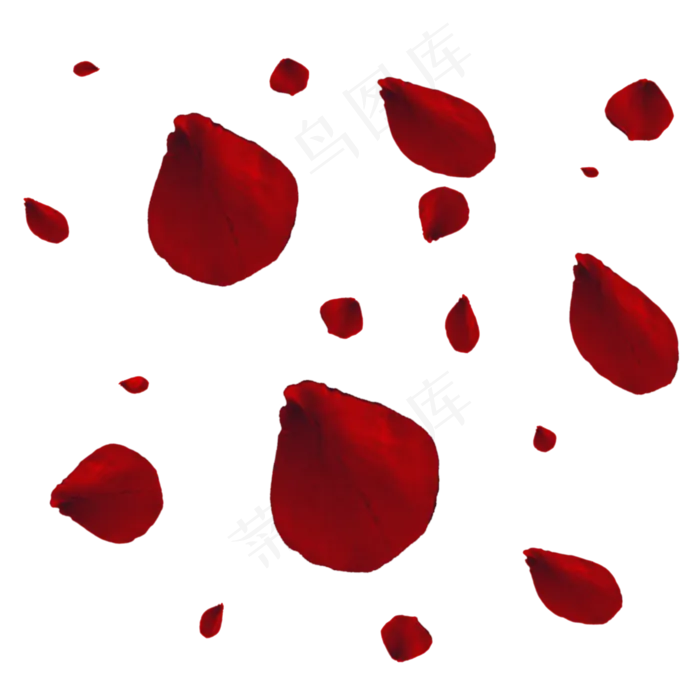 免扣红色的玫瑰花瓣(2000X2000(DPI:300))psd模版下载