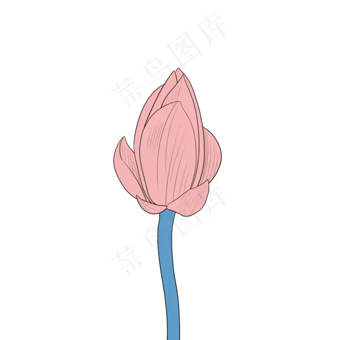 大暑荷花花苞(2000X2000(DPI:300))psd模版下载