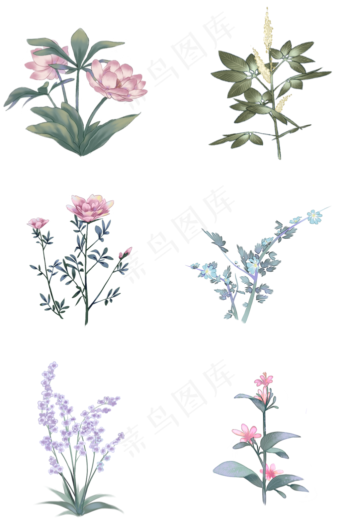 中国古风手绘花卉