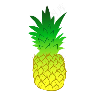 热带水果菠萝矢量图