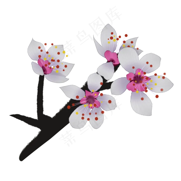 白色樱花插图装饰(2000X2000(DPI:300))psd模版下载