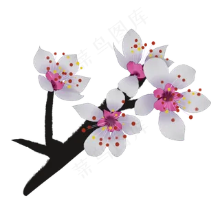白色樱花插图装饰