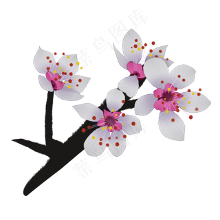 白色樱花插图装饰