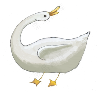 手绘水彩白色鸭子鹅png